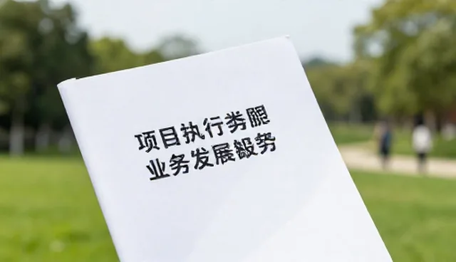 如何选择合适的商务服务？项目咨询适用条件分析